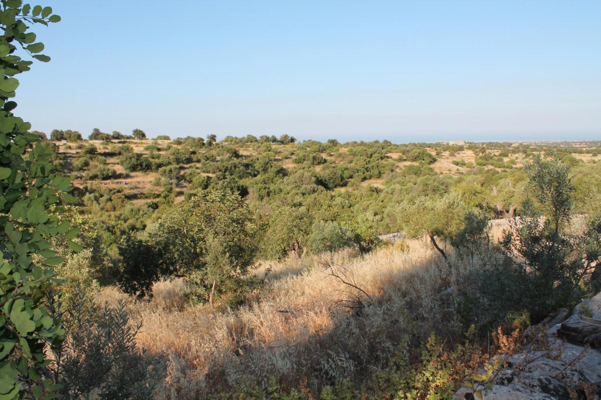 Tenuta Zannafondo Donnafugata Exteriér fotografie
